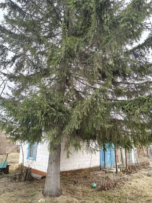 Дом в Омская область, Омск Железнодорожник СНТ, аллея 9-я (22 м) - Фото 2