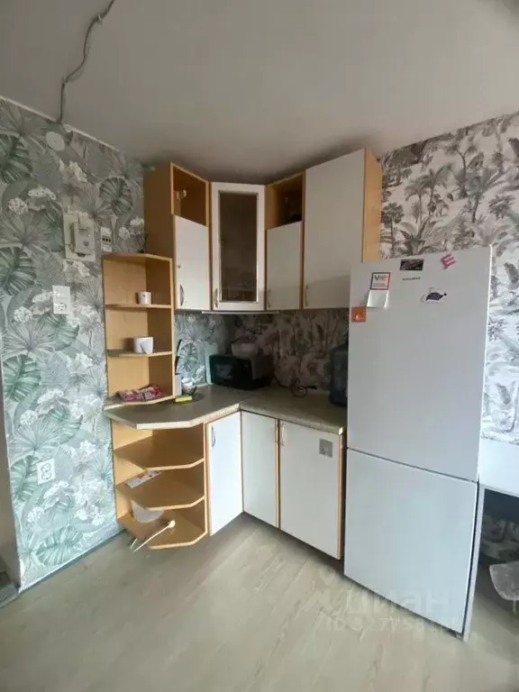 Комната Калининградская область, Калининград ул. Александра Невского, ... - Фото 2