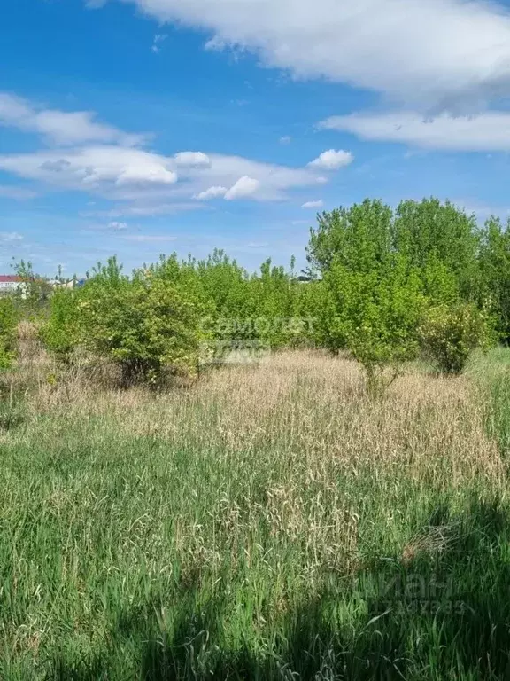 Дом в Воронежская область, с. Каширское ул. 9 Января, 59 (33 м) - Фото 1