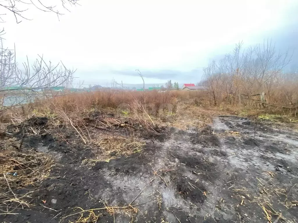 Участок в Карайганово, улица Кутушева (15 м) - Фото 2