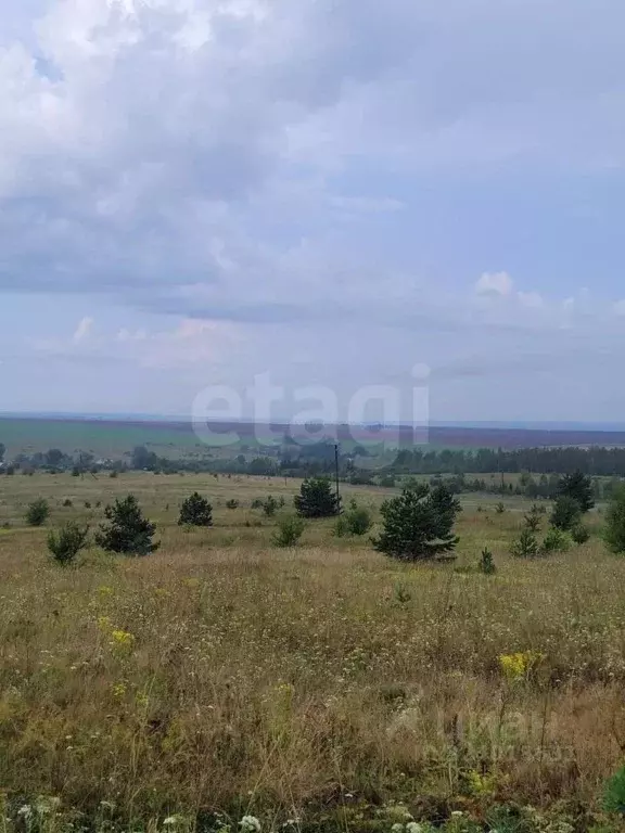 Участок в Мордовия, Кочкуровский район, с. Новая Пырма  (16.0 сот.) - Фото 2