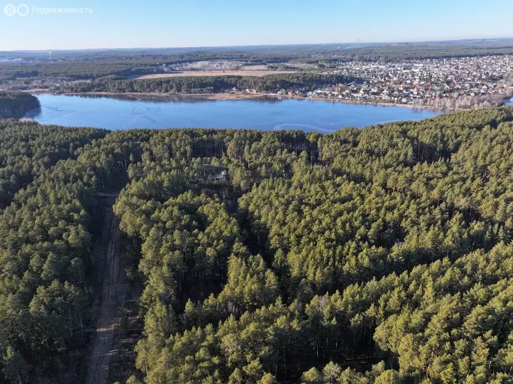 Участок в Свердловская область, Сысертский муниципальный округ, село ... - Фото 2
