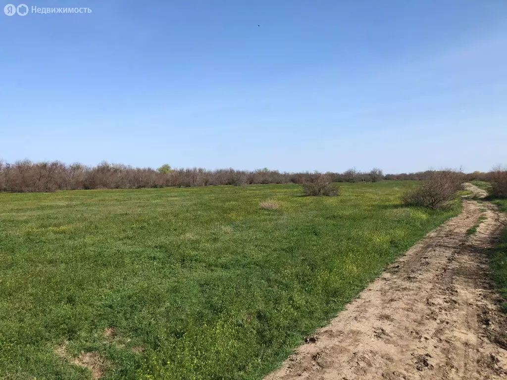 Участок в Камызякский район, село Полдневое (1.66 м) - Фото 1