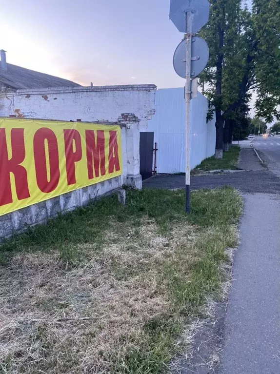 Помещение свободного назначения в Краснодарский край, Павловская ст-ца ... - Фото 1