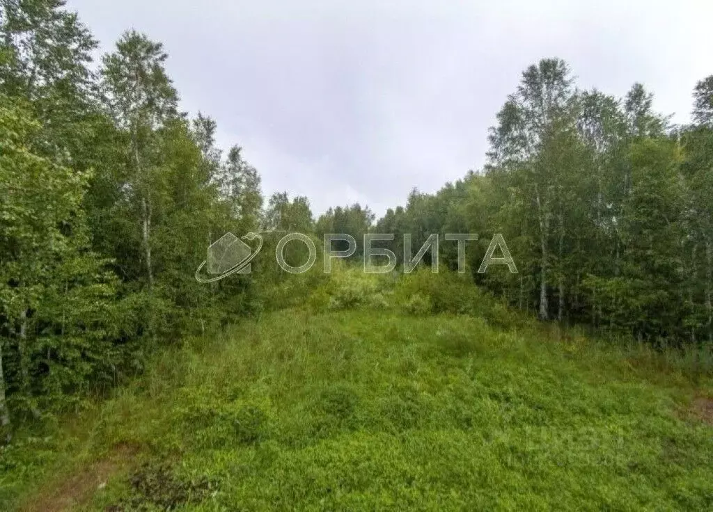 Участок в Тюменская область, Нижнетавдинский район, Фортуна СТ ул. ... - Фото 0