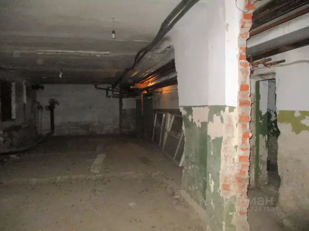 Помещение свободного назначения в Новосибирская область, Новосибирск ... - Фото 0