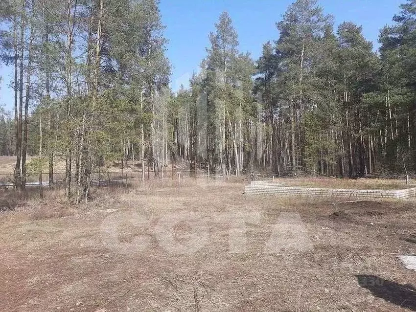 Участок в Воронежская область, Рамонский район, Новоживотинновское ... - Фото 1