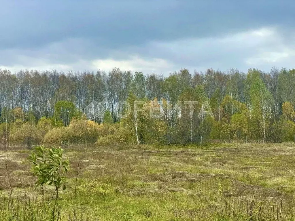 Участок в Тюменская область, Нижнетавдинский муниципальный округ, пос. ... - Фото 1