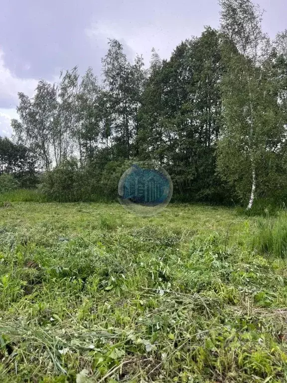 Участок в Московская область, Щелково городской округ, Поле Чудес 45 ... - Фото 1