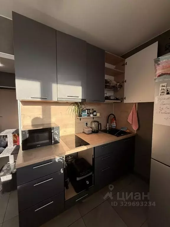 Студия Ленинградская область, Мурино Всеволожский район, просп. ... - Фото 1