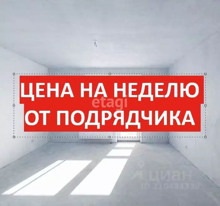 1-к кв. Новосибирская область, Новосибирск Беловежская ул., 1С (39.1 ... - Фото 0