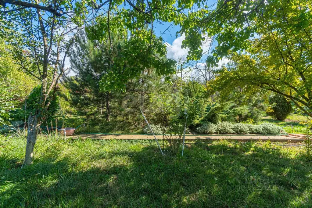 Участок в Севастополь Клубника садоводческое товарищество,  (5.96 ... - Фото 1