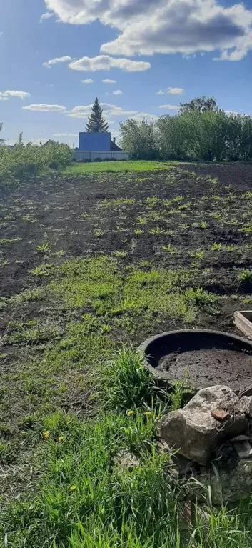 Дом в Башкортостан, Чишминский район, с. Шингак-Куль  (46 м) - Фото 2