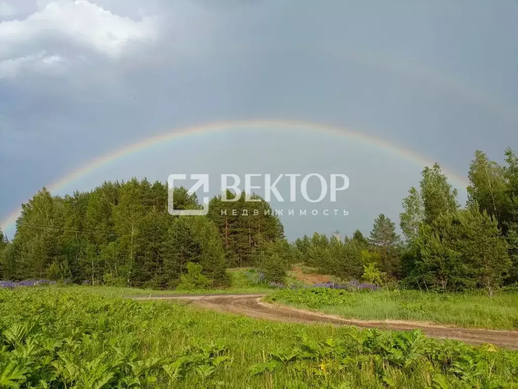 Участок в Ивановская область, Кинешемский район, Наволокское городское ... - Фото 1