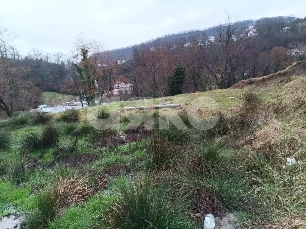 Участок в Краснодарский край, Сочи (6 м) - Фото 2