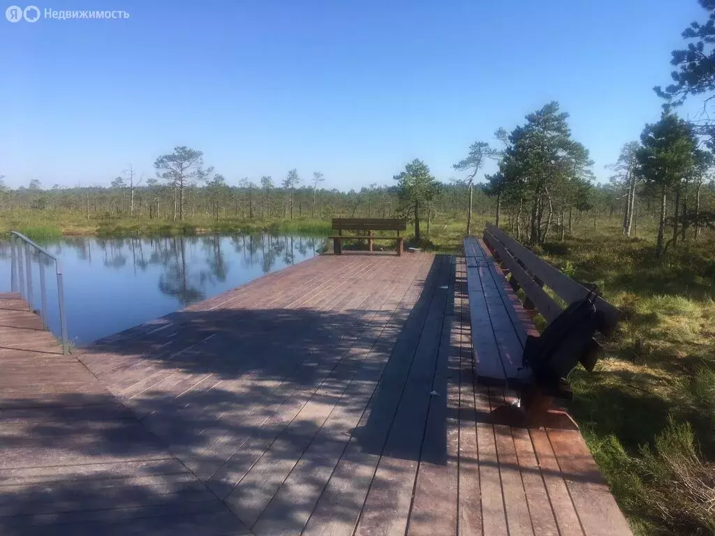 Дом в Выборгский район, Рощинское городское поселение, садовое ... - Фото 0