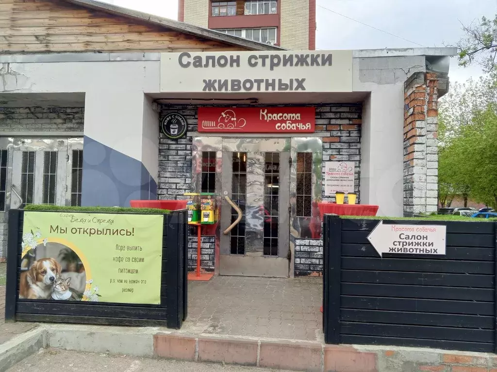 Сдам помещение свободного назначения, 20 м - Фото 0