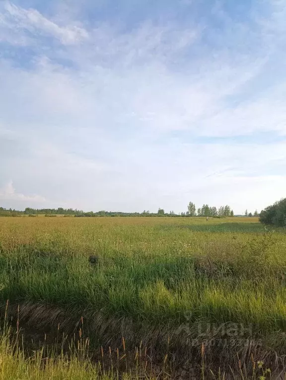 Участок в Новгородская область, Новгородский район, Борковское с/пос  ... - Фото 0
