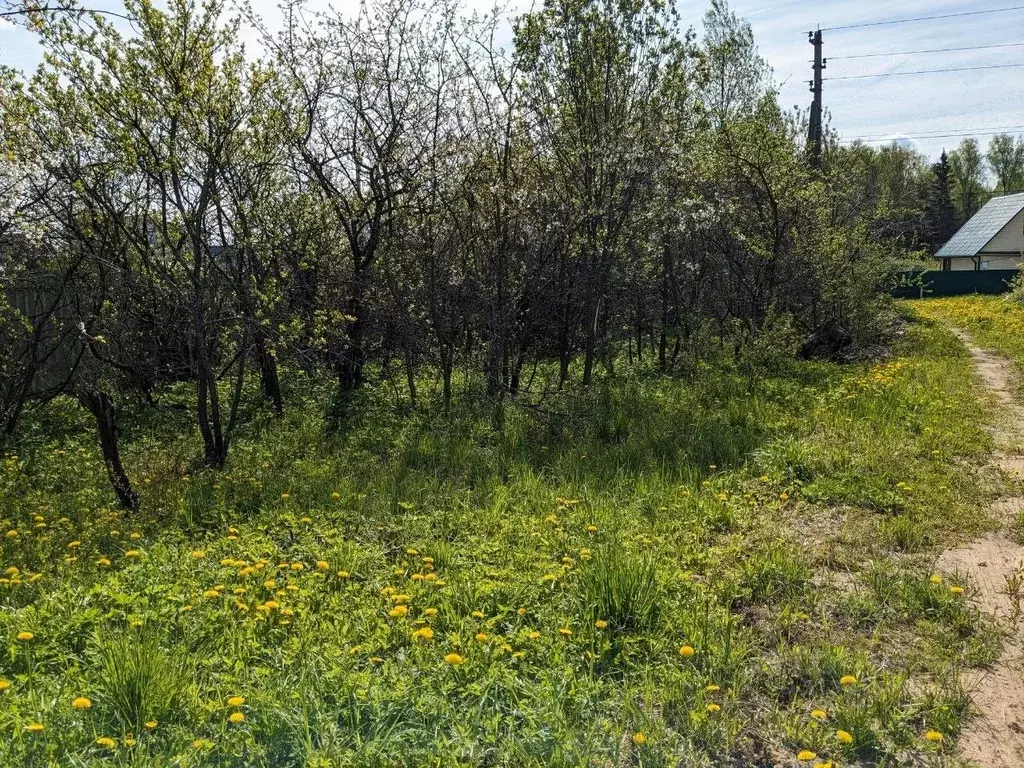 Участок в Московская область, Щелково городской округ, д. Назимиха ул. ... - Фото 0