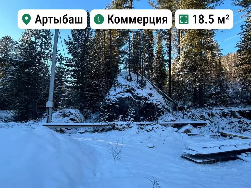 Торговая площадь в Алтай, Турочакский район, с. Артыбаш ул. Береговая, ... - Фото 1