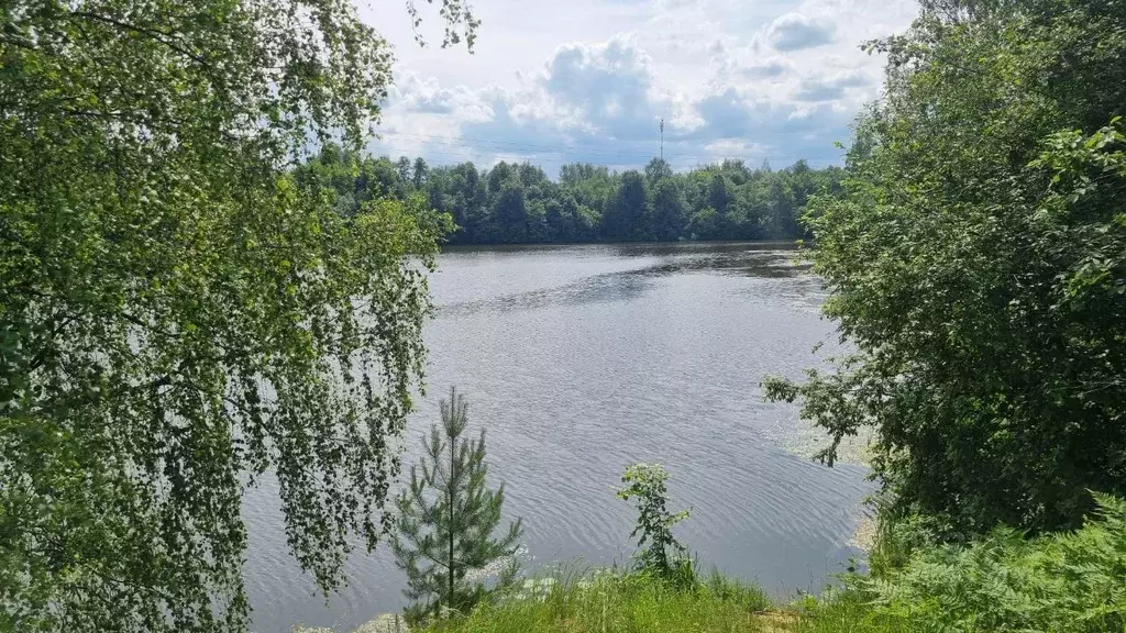 Участок в Ивановская область, Ивановский район, Беляницкое с/пос, д. ... - Фото 2