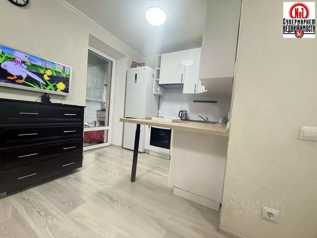 Студия Самарская область, Волжский район, Смышляевка городское ... - Фото 2