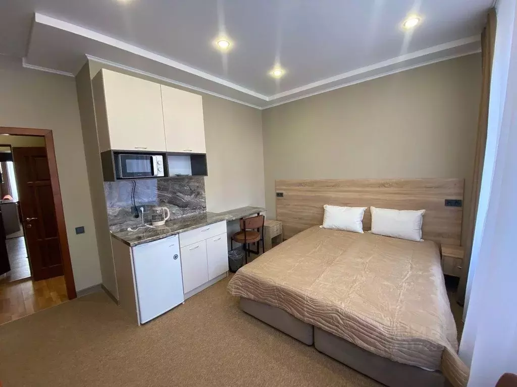 Комната Татарстан, Казань ул. Каюма Насыри, 28 (19.0 м) - Фото 1