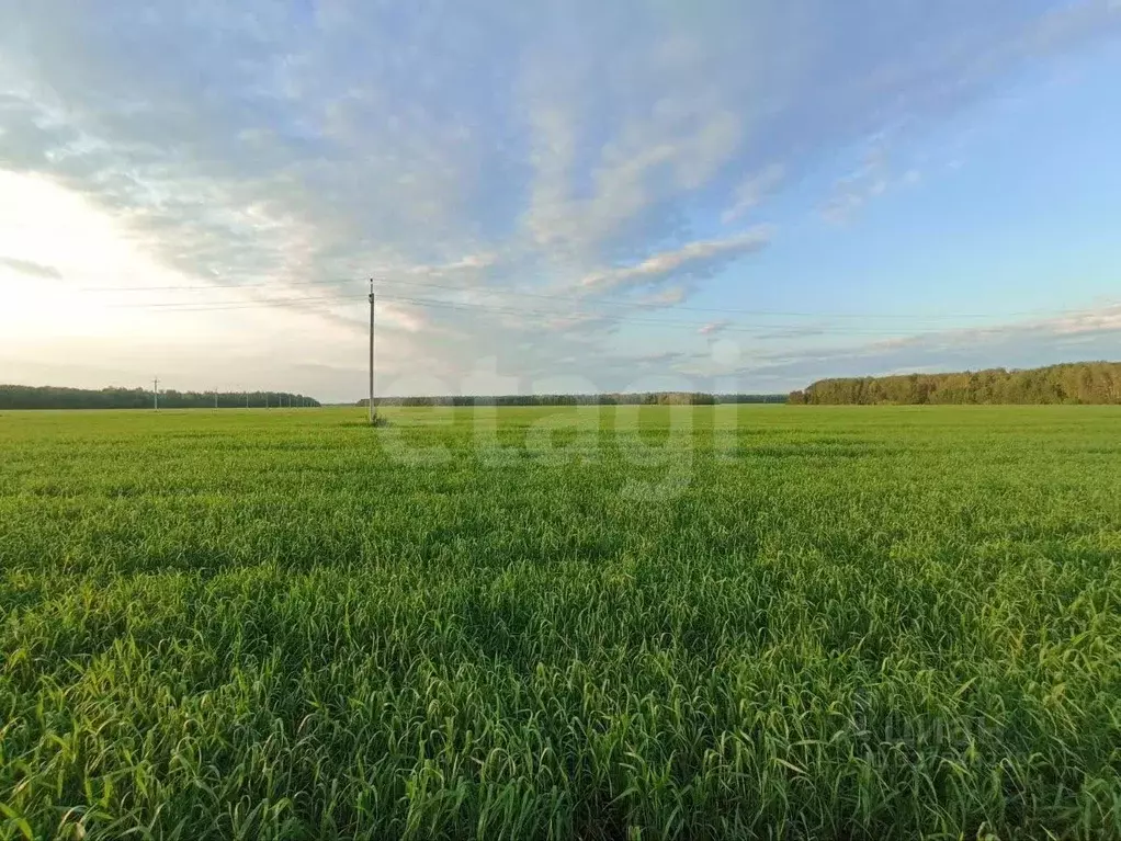 Участок в Тюменская область, Тюменский муниципальный округ, с. ... - Фото 1