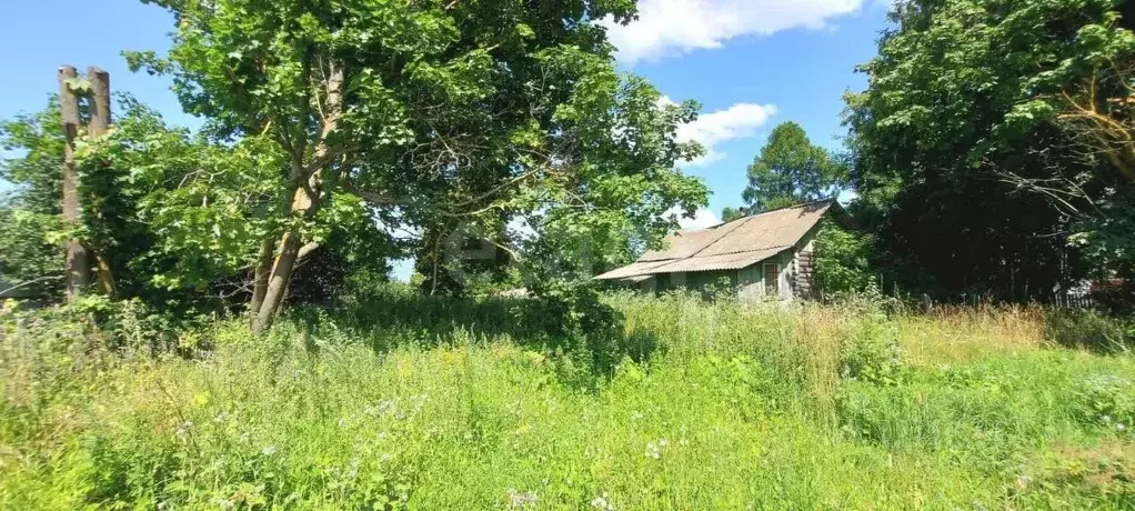 Участок в Владимирская область, Ковровский муниципальный округ, с. ... - Фото 2