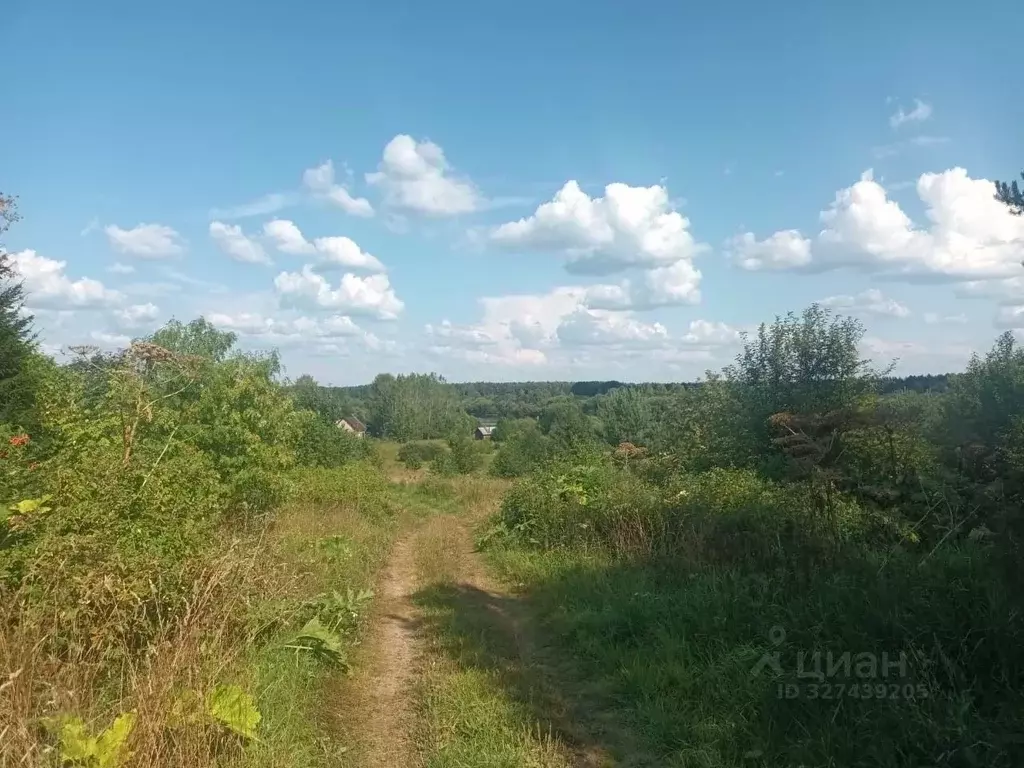Участок в Коми, Сыктывдинский район, Ыб муниципальное образование, д. ... - Фото 2