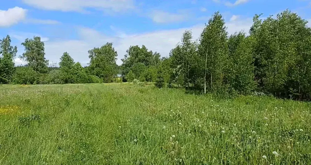 Участок в Московская область, Наро-Фоминский городской округ, д. ... - Фото 1