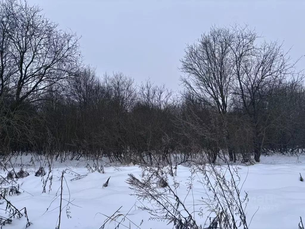 Участок в Московская область, Клин городской округ, д. Еросимово  ... - Фото 0