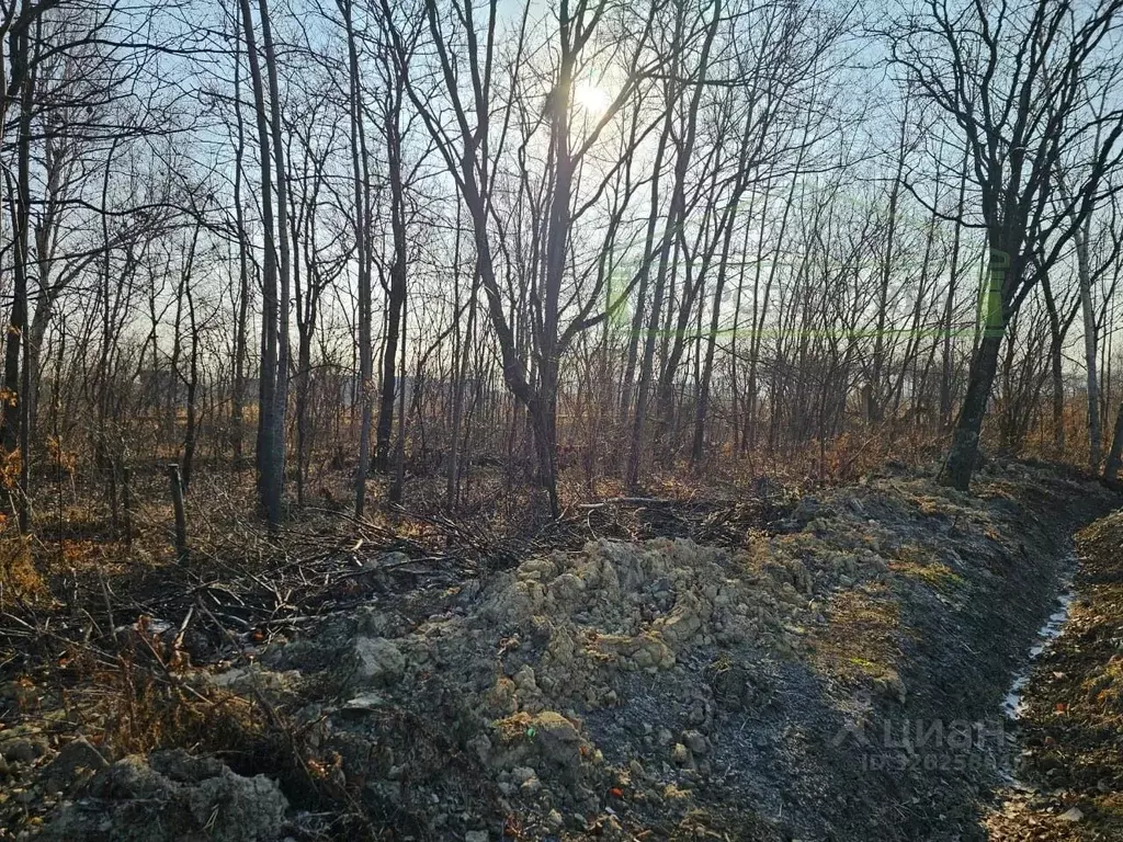 Участок в Приморский край, Артемовский городской округ, с. Кневичи ул. ... - Фото 2