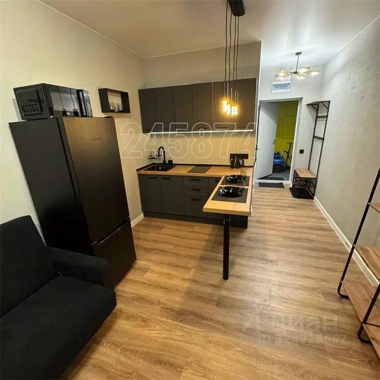 Студия Московская область, Красногорск городской округ, пос. ... - Фото 1