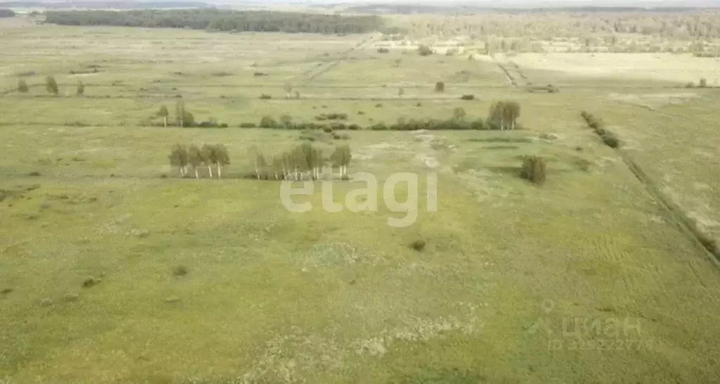Участок в Московская область, Лотошино муниципальный округ, пос. ... - Фото 2
