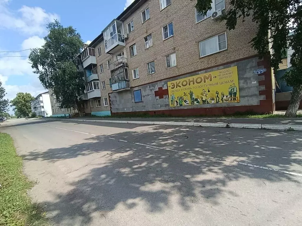 3-к кв. Еврейская автономная область, с. Ленинское ул. Кагыкина, 9 ... - Фото 0
