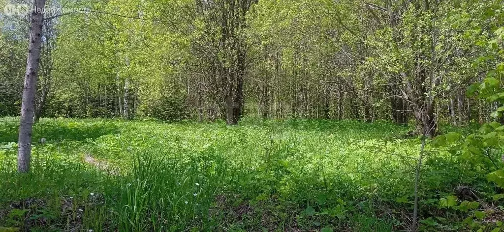 Участок в Пермский муниципальный округ, посёлок Лесоучасток 831 (7 м) - Фото 0