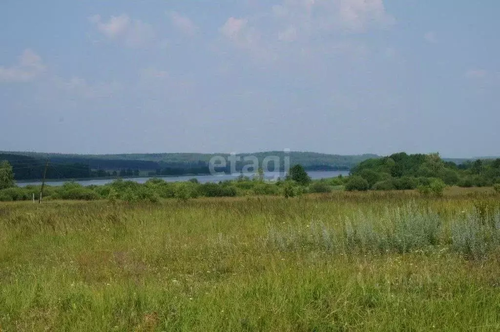 Участок в Нижегородская область, Богородский муниципальный округ, д. ... - Фото 1