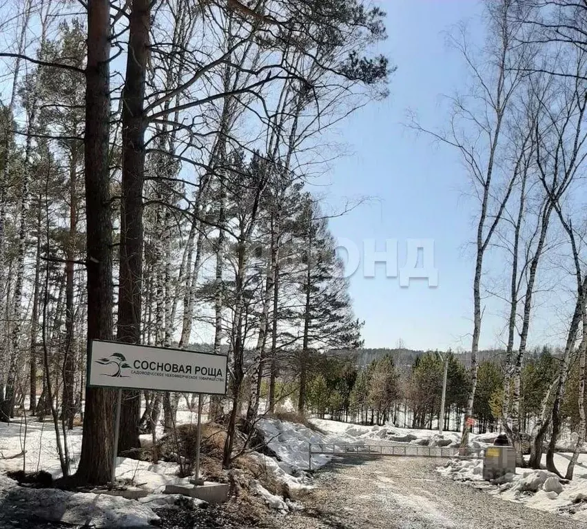 Участок в Новосибирская область, Новосибирский район, Новолуговской ... - Фото 1