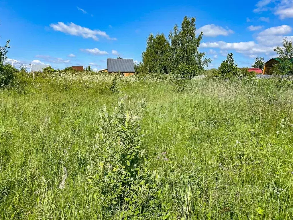 Участок в Ярославская область, Тутаевский муниципальный округ, ... - Фото 1