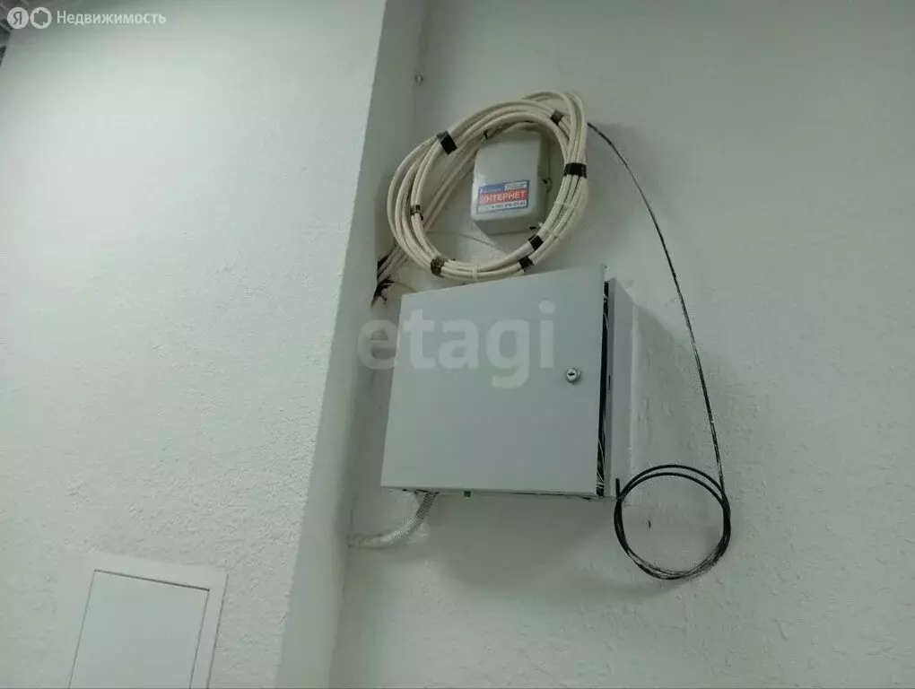 Помещение свободного назначения (33.5 м) - Фото 2