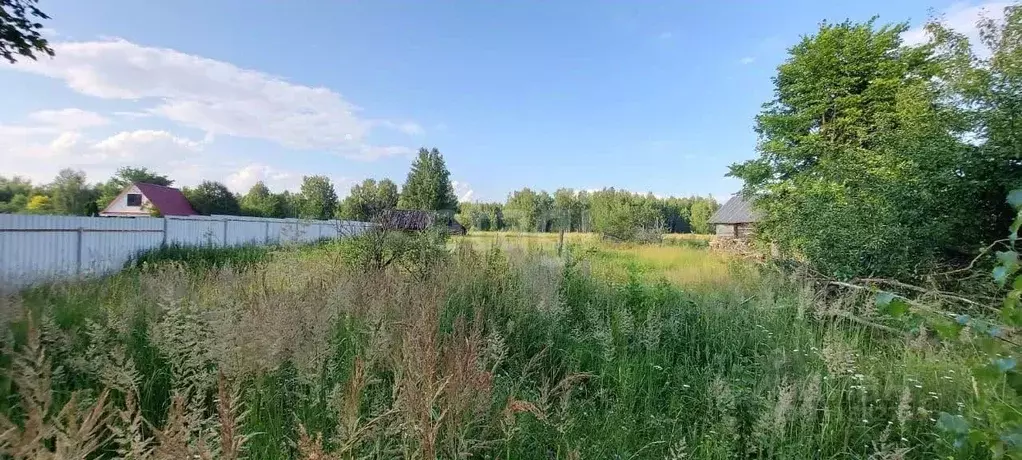 Участок в Владимирская область, Селивановский район, Волосатовское ... - Фото 0