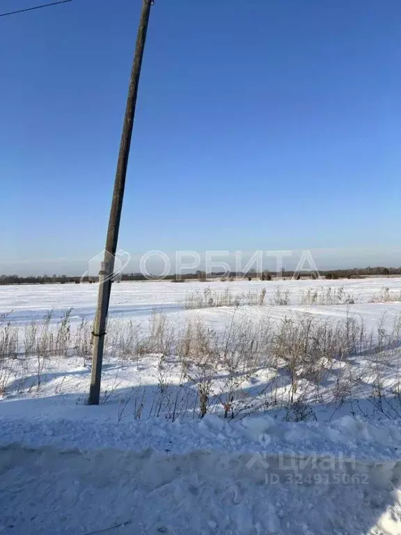 Участок в Тюменская область, Тюменский муниципальный округ, Согласие ... - Фото 1