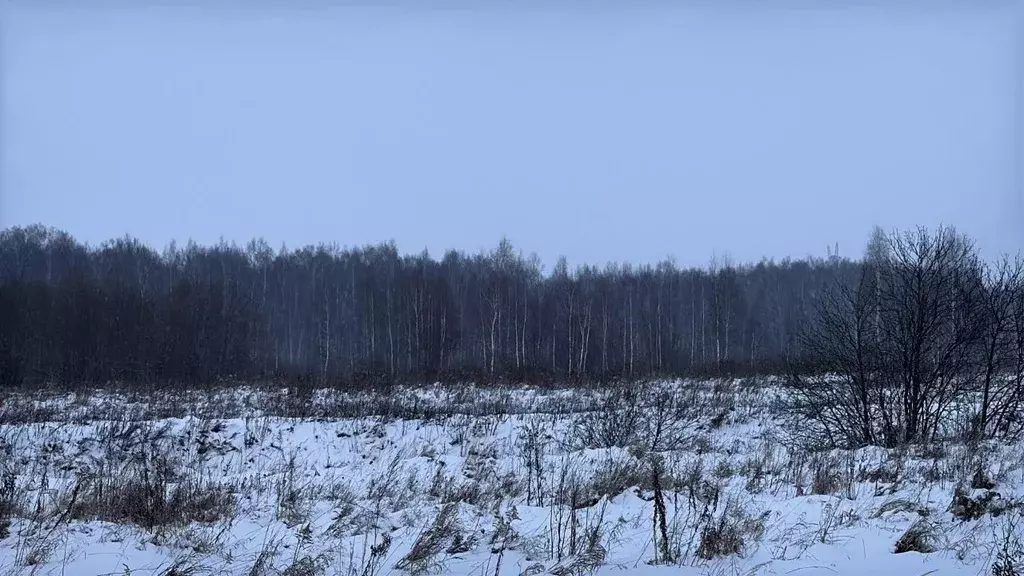 Участок в Московская область, Кашира городской округ, д. Никулино  ... - Фото 0