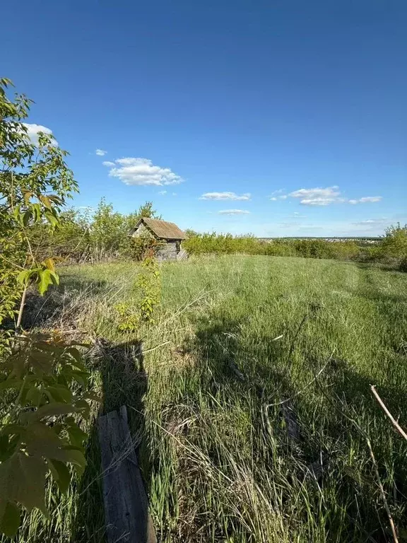 Участок 10 сот. (СНТ, ДНП) - Фото 0