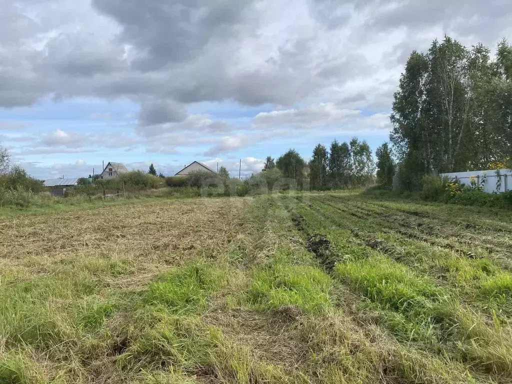 Участок в Тюменская область, Ялуторовский муниципальный округ, с. ... - Фото 2