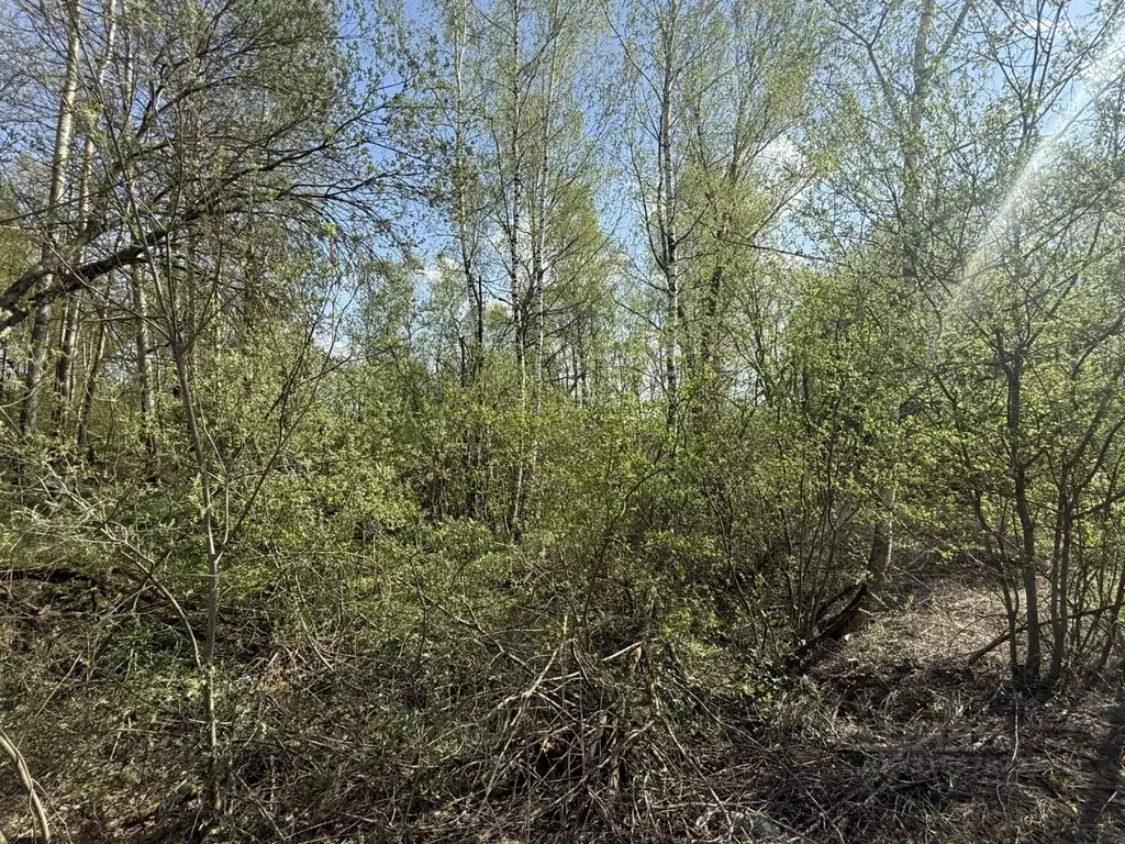 Участок в Московская область, Кашира городской округ, д. Завалье-1  ... - Фото 1