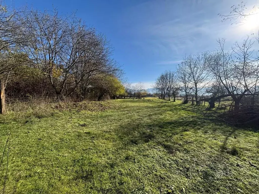 Участок в Северная Осетия, Владикавказ пл. Свободы (5.6 сот.) - Фото 1