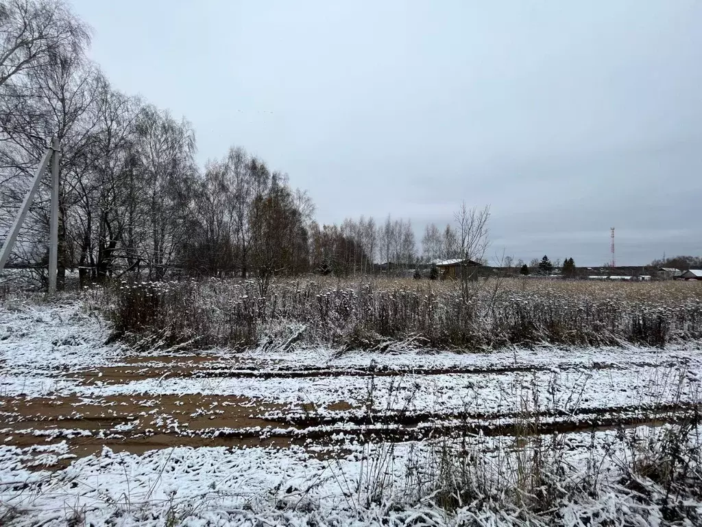 Участок в Владимирская область, Александровский район, д. Елькино . - Фото 1