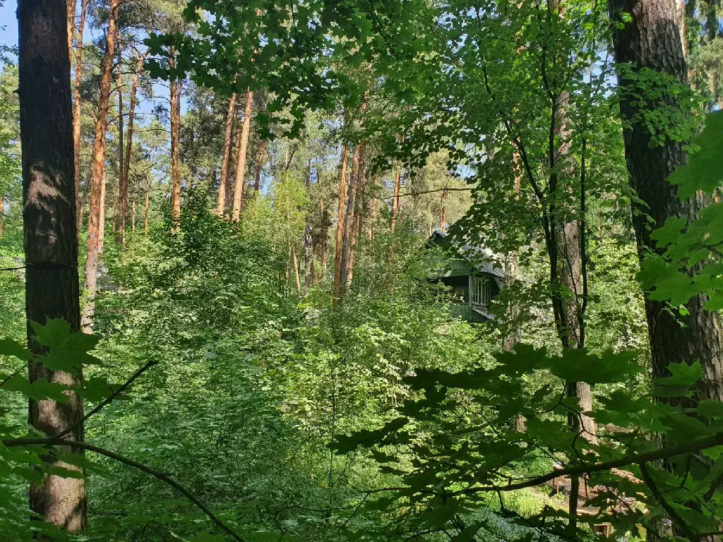 Продается дом в дп Кратово - Фото 1